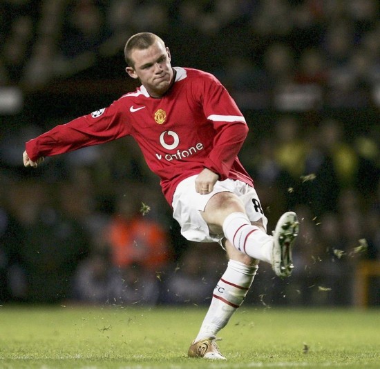 所提到的 所提到的